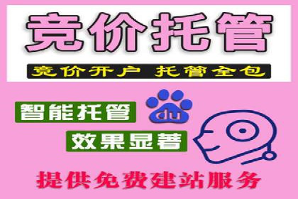 成功案例解析：SEM推广代运营公司助力企业抢占市场先机